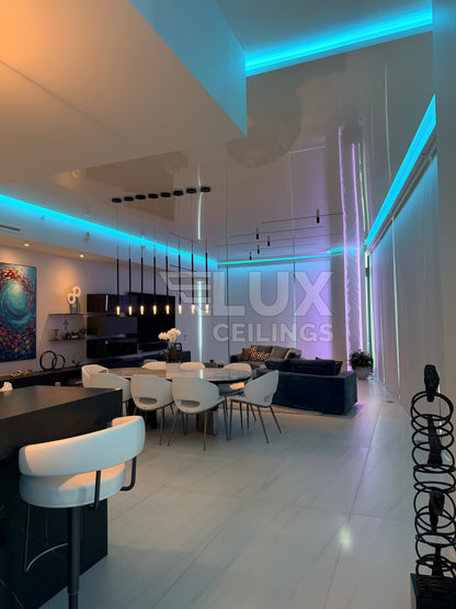 HIGH GLOSS REFLECTIVE CEILING