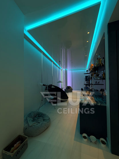 FLOATING & TRAY CEILINGS