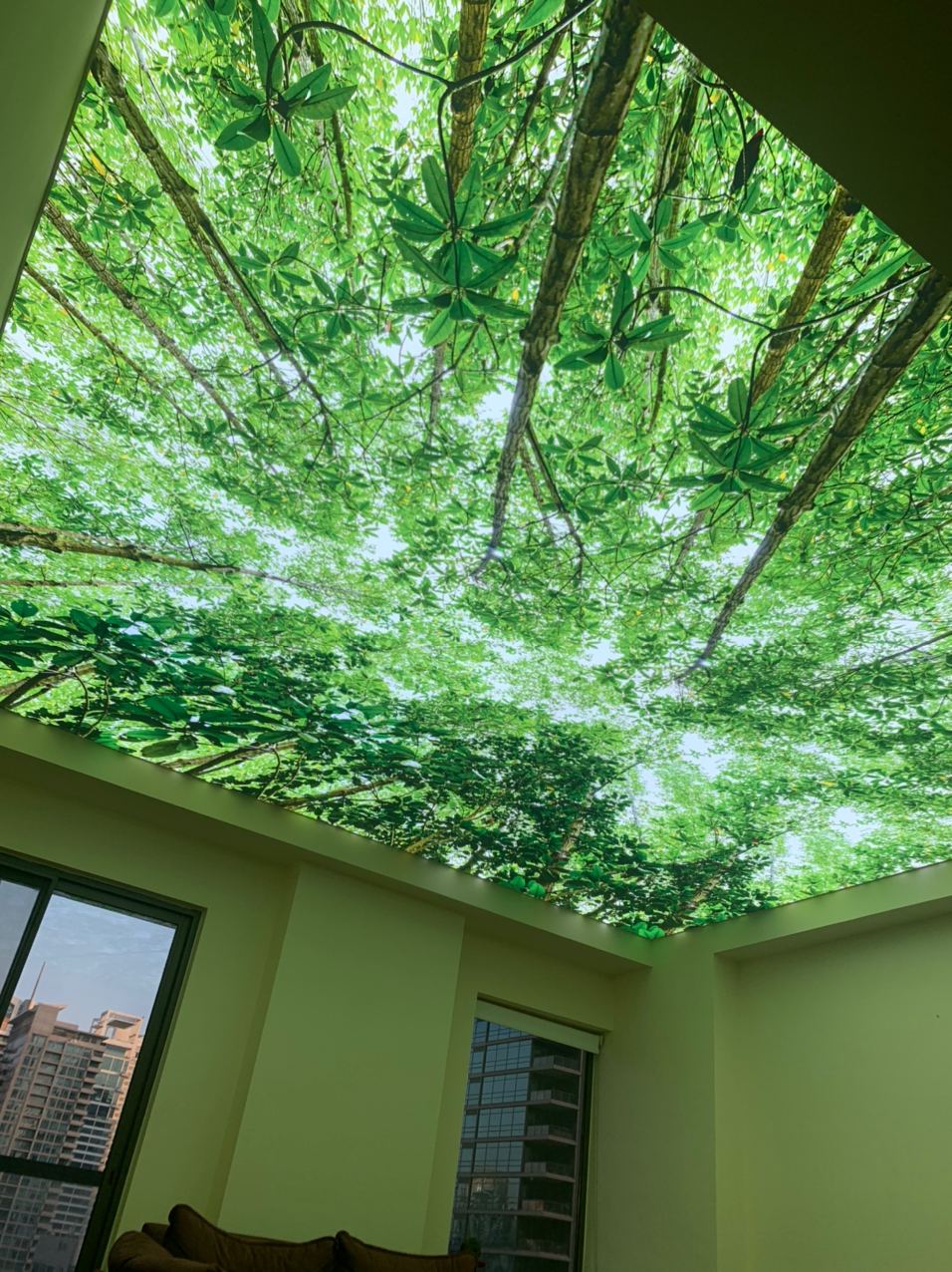 LUX CEILINGS